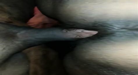 Mature Dehati Aunty Having Sex With Devar Mp