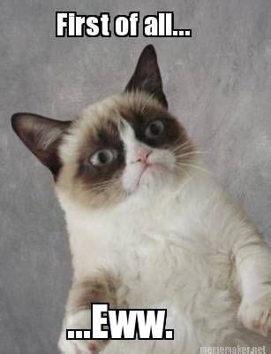 Pin By Jana Mayhall On Cats Grumpy Cat Humor Grumpy Cat Quotes Cat