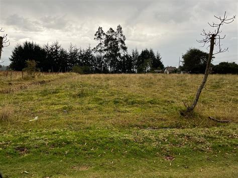 Terreno de venta en el Sector de Píntag Quito Ecuador Arrienda y Vende