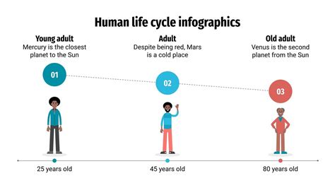 Human Life Cycle Infographics | Google Slides & PowerPoint