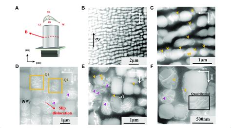 Microstructures At Point B A The Position Of Point B On The Blade