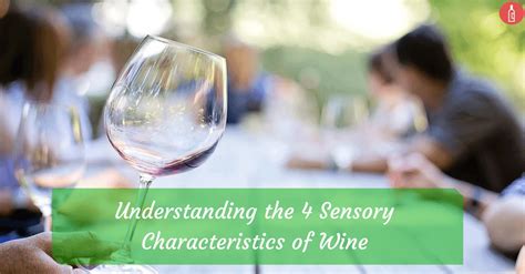 Understanding The 4 Sensory Characteristics Of Wine