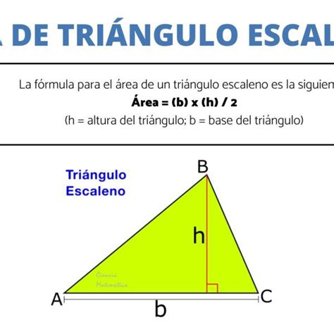 Calcular Area Y Perimetro De Un Triangulo Escaleno Printable