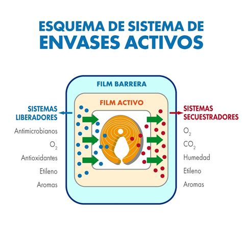 Envases Activos Tipos Beneficios Y Aplicaciones