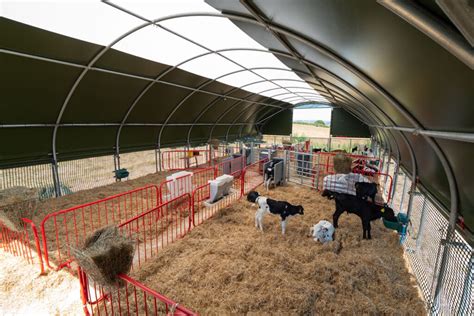 Modern Calf Shelters Mcgregor Structures