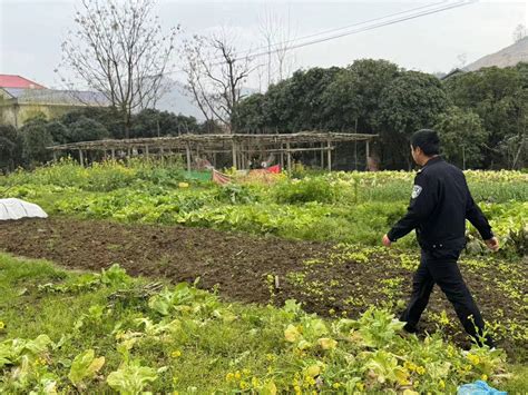 东安紫溪市镇：铲毒踏查正当时，禁毒宣传不停歇种植毒品植物