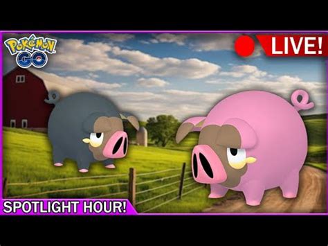 Shiny Lechonk Spotlight Hour YouTube