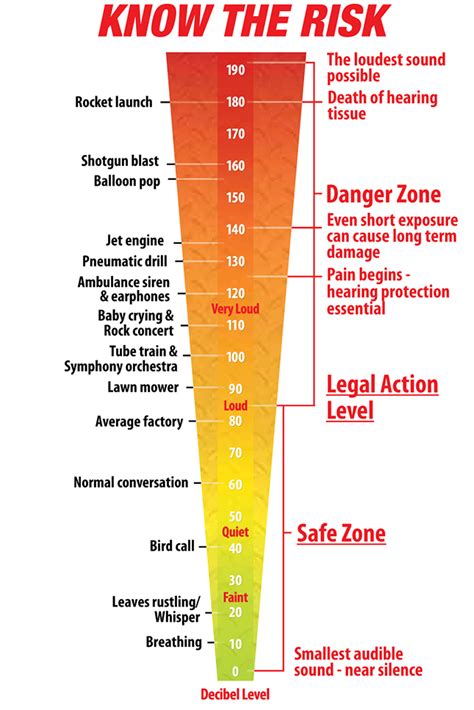 Noise Induced Hearing Loss Know The Risks Hearing Healthcare