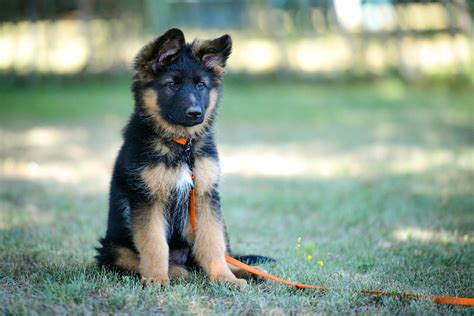 Best Kenyans Images On Pholder Interestingasfuck Nature Is Fucking Lit And City Porn