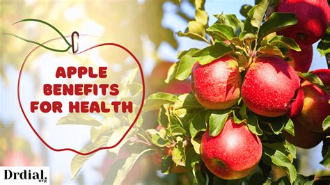 Apple Benefits for Health | Eating apple empty stomach benefits