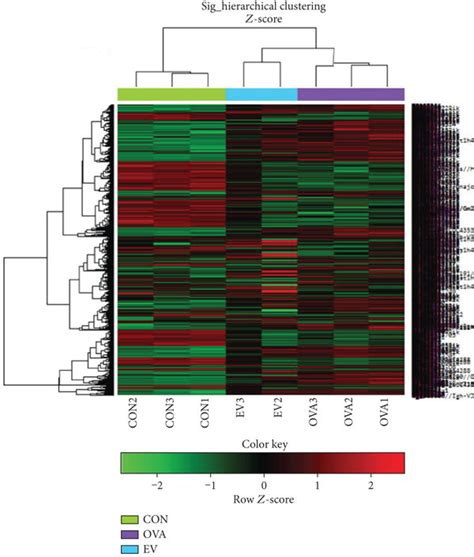 Hierarchical Clustering Analysis And Heat Map Diagram Green And Red Download Scientific