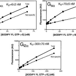 Association And Dissociation Of BODIPY FL GTP Analogs With G O