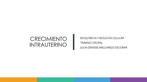 SOLUTION Unmsm Bioqu Mica Y Biolog A Molecular Presentaci N De Power