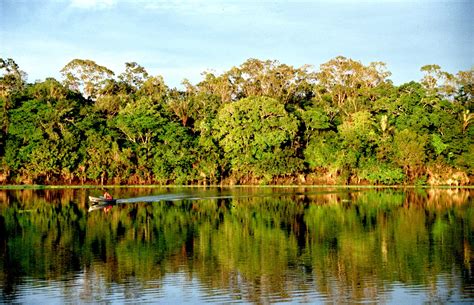 La Amazonía ha perdido en 36 años el equivalente a la superficie de Chile