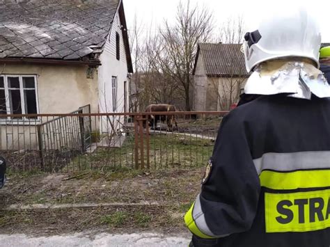 Makabryczny wypadek pod Rykami BYK ZABIŁ rolnika FOTO