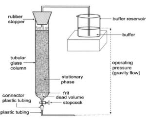 Downstream Processing Biology Ease