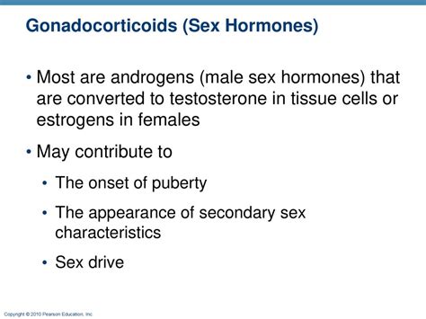 The Endocrine System Part B Ppt Download