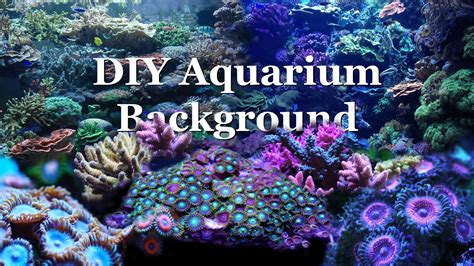 Aquarium Background Pictures (55+ pictures) - WallpaperSet