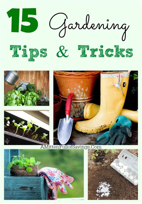 15 Gardening Tips & Tricks - This Worthey Life