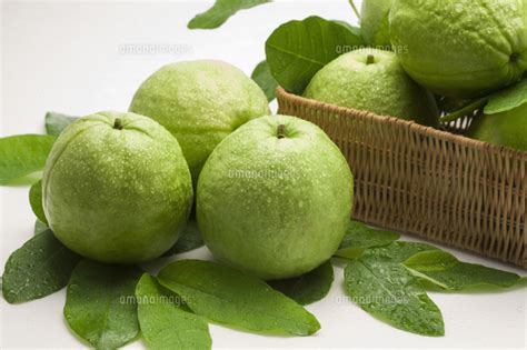 Guava Fruit