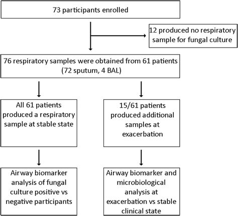 Frontiers Comparative Analysis Of Clinical Parameters And Sputum