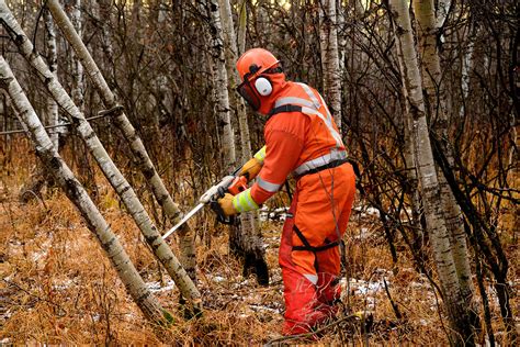 Selecting And Inspecting Ppe