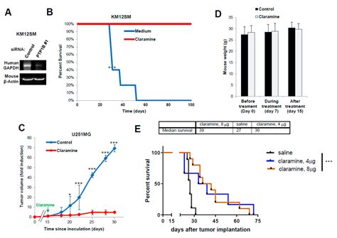 Cancers Free Full Text Protein Tyrosine Phosphatase 1b Inhibition