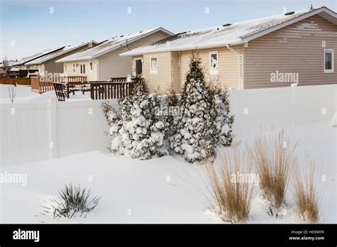 A Backyard Snow Scene After A Blizzard In Winkler Manitoba Canada