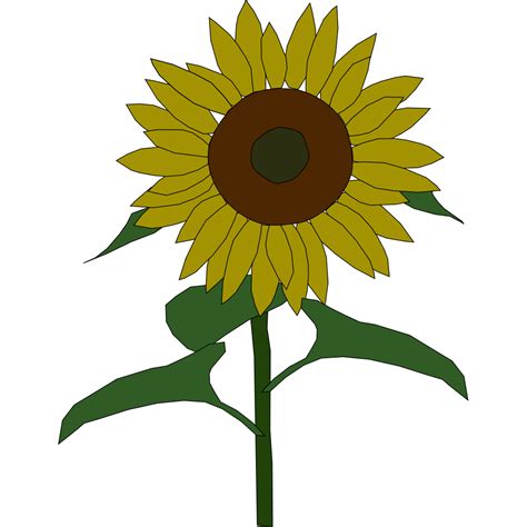 Sunflower Svg Zentangle Svg Sunflower Design Sunflower Png Etsy In Images