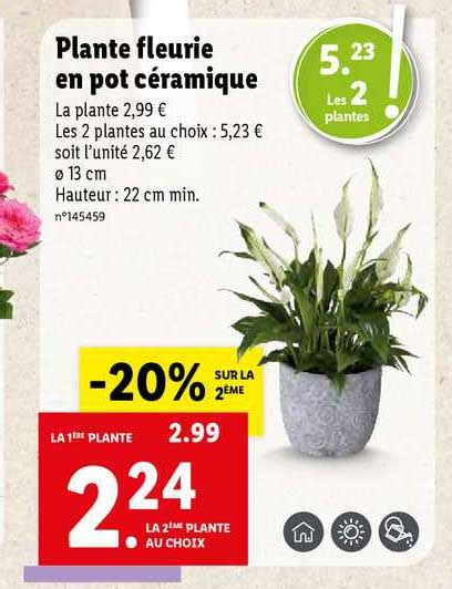 Promo Plante Fleurie En Pot C Ramique Chez Lidl Icatalogue Fr