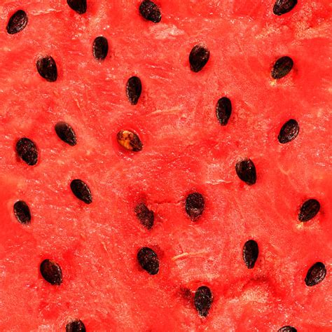 Royalty Free Watermelon Texture Pictures, Images and Stock Photos - iStock