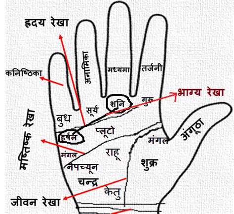 ताप गरमी की दृष्टि से हाथों का वर्गीकरण Hastrekha Hindi Indian