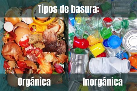 🌍 Basura Orgánica E Inorgánica ¿qué Son Y Por Qué Separarlas