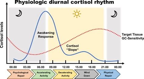 北京师范大学认知神经科学与学习国家重点实验室