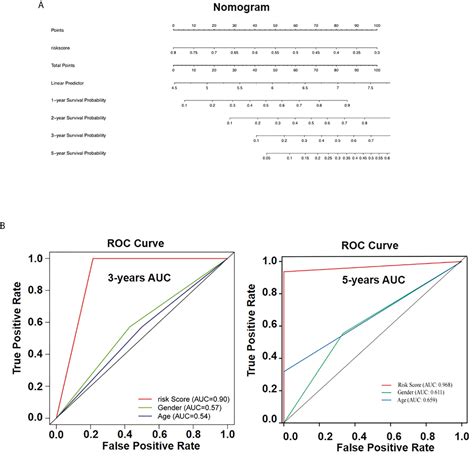 Frontiers Pkib Involved In The Metastasis And Survival Of Osteosarcoma