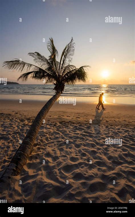 Couples Walking On The Beach By The Sea At Sunset Is A Romantic Picture