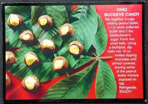 Ohio State Osu Chocolate Buckeye Candy Recipe Post Card Buckeyes