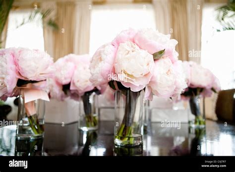 Plant Centerpieces Hi Res Stock Photography And Images Alamy