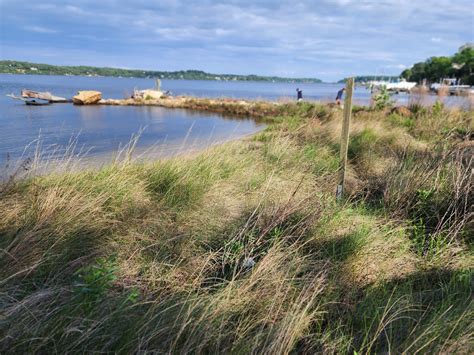 Center For Ecosystem Recovery