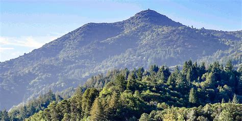 The Ascent Of Mountain Biking On Mount Tamalpais Golden Gate National