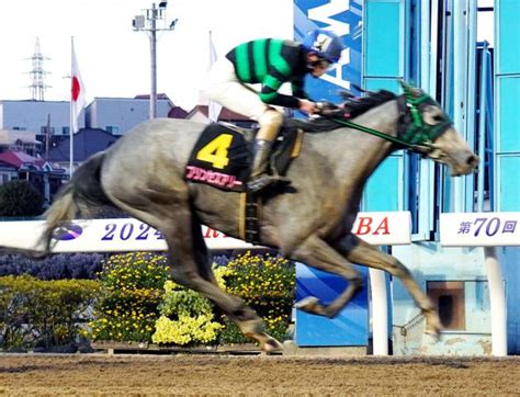 プリンセスアリーが浦和・桜花賞優勝 競馬ニュース Netkeiba