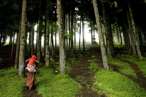 bhutan021: Bhutan: lynsey addario, photographer