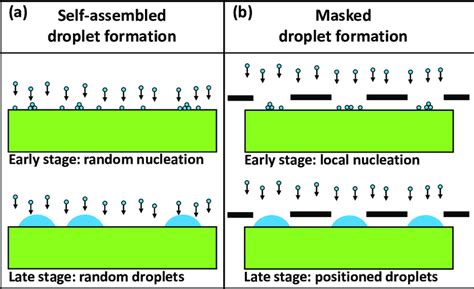 schematic   assembled droplet formation  planar