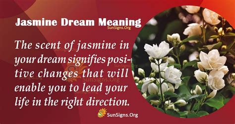 What Does It Mean To Dream Of Jasmine Interpretation And Symbolism