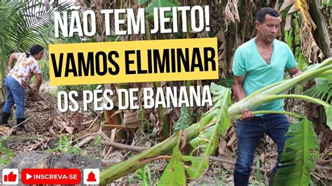 Veja O Porqu Tomamos A Decis O De Eliminar Os P S De Banana