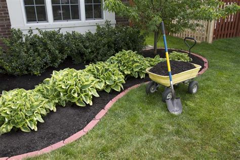 How To Mulch And Types Of Mulches