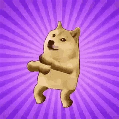 Doge Meme In 2023 Dancing Animated  Doge  