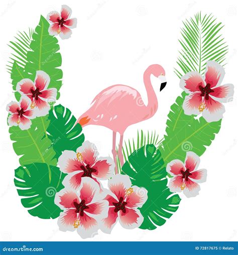 Flamingo Mit Blumen Vektor Abbildung Illustration Von Wildnis 72817675