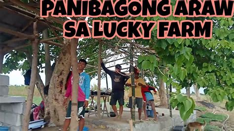 Panibagong Araw Sa Lucky Farm Youtube