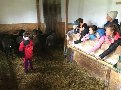 Volksschule Sankt Georgen Bei Salzburg Ausflug Zur Familie Haberl